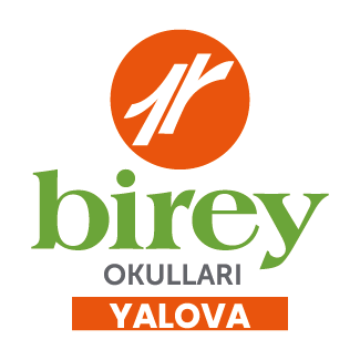 Birey Eğitim Kurumları